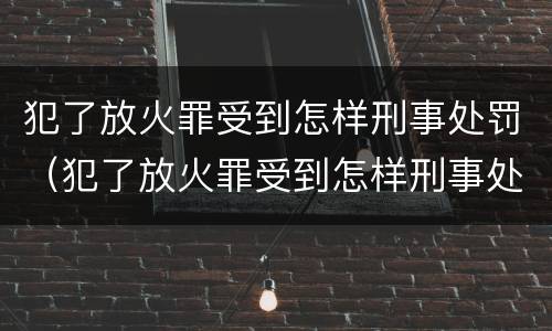 犯了放火罪受到怎样刑事处罚（犯了放火罪受到怎样刑事处罚呢）