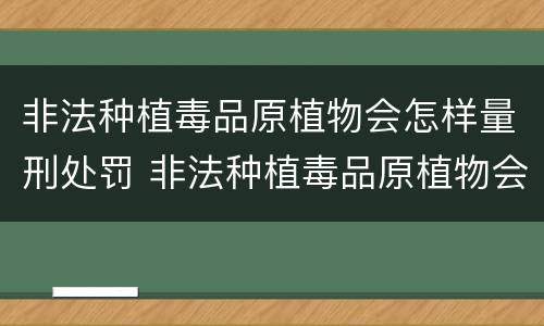 非法种植毒品原植物会怎样量刑处罚 非法种植毒品原植物会怎样量刑处罚