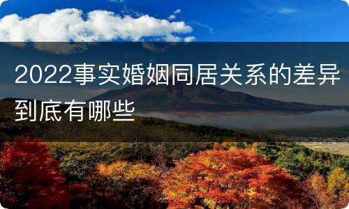2022事实婚姻同居关系的差异到底有哪些