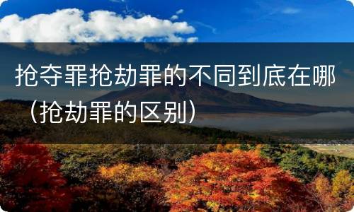 抢夺罪抢劫罪的不同到底在哪（抢劫罪的区别）