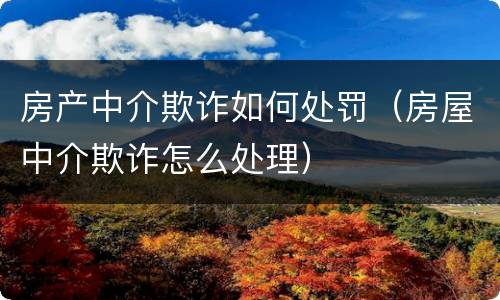 房产中介欺诈如何处罚（房屋中介欺诈怎么处理）