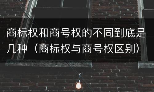 商标权和商号权的不同到底是几种（商标权与商号权区别）