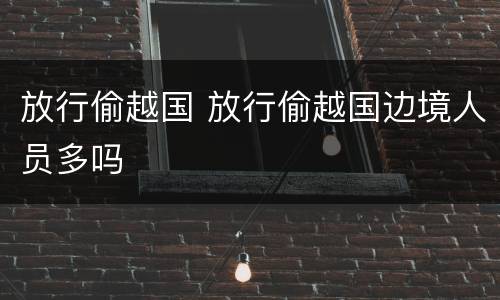 放行偷越国 放行偷越国边境人员多吗
