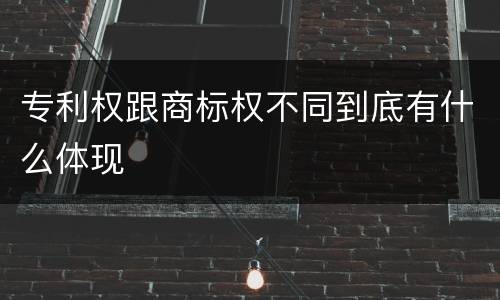 专利权跟商标权不同到底有什么体现