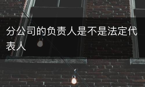 分公司的负责人是不是法定代表人