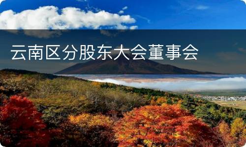 云南区分股东大会董事会