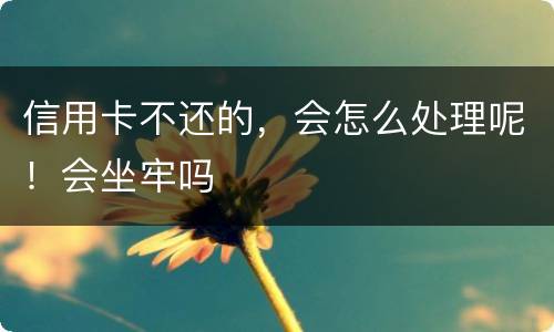 信用卡不还的，会怎么处理呢！会坐牢吗