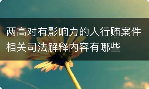 两高对有影响力的人行贿案件相关司法解释内容有哪些