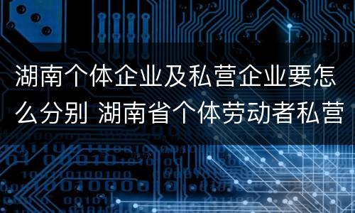 湖南个体企业及私营企业要怎么分别 湖南省个体劳动者私营企业协会