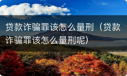 贷款诈骗罪该怎么量刑（贷款诈骗罪该怎么量刑呢）