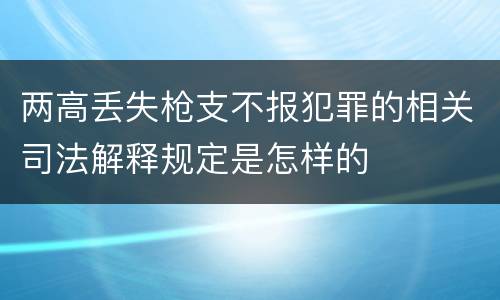 两高丢失枪支不报犯罪的相关司法解释规定是怎样的