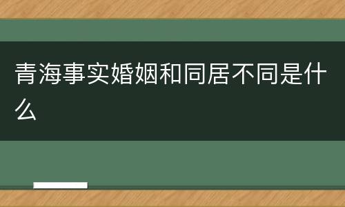 青海事实婚姻和同居不同是什么