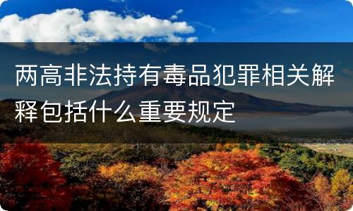 两高非法持有毒品犯罪相关解释包括什么重要规定