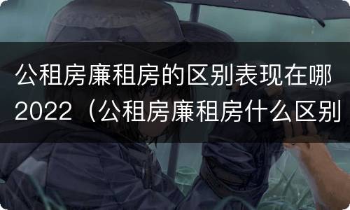公租房廉租房的区别表现在哪2022（公租房廉租房什么区别）