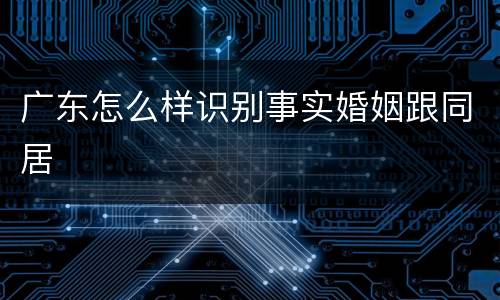 广东怎么样识别事实婚姻跟同居