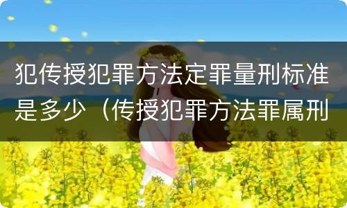 犯传授犯罪方法定罪量刑标准是多少（传授犯罪方法罪属刑法规定的）