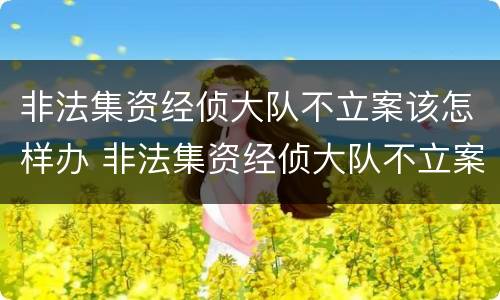 非法集资经侦大队不立案该怎样办 非法集资经侦大队不立案该怎样办呢