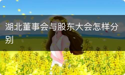 湖北董事会与股东大会怎样分别