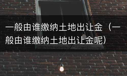 一般由谁缴纳土地出让金（一般由谁缴纳土地出让金呢）