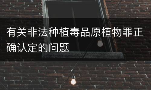 有关非法种植毒品原植物罪正确认定的问题