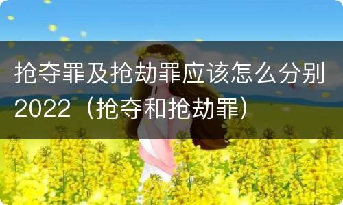 抢夺罪及抢劫罪应该怎么分别2022（抢夺和抢劫罪）