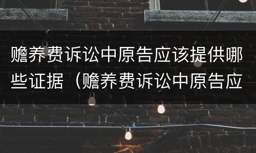 赡养费诉讼中原告应该提供哪些证据（赡养费诉讼中原告应该提供哪些证据材料）