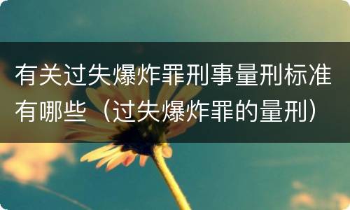 有关过失爆炸罪刑事量刑标准有哪些（过失爆炸罪的量刑）