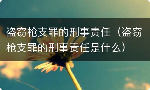 盗窃枪支罪的刑事责任（盗窃枪支罪的刑事责任是什么）