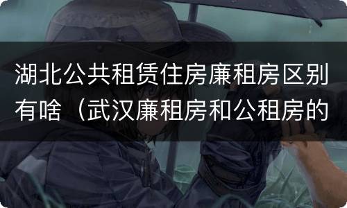 湖北公共租赁住房廉租房区别有啥（武汉廉租房和公租房的区别）