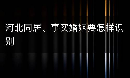 河北同居、事实婚姻要怎样识别