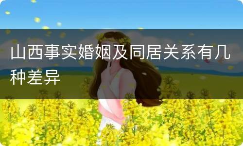 山西事实婚姻及同居关系有几种差异