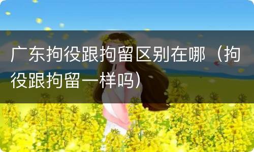 广东拘役跟拘留区别在哪（拘役跟拘留一样吗）