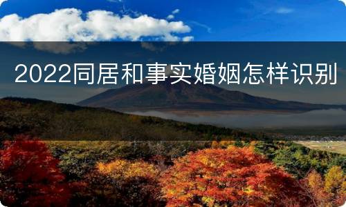 2022同居和事实婚姻怎样识别