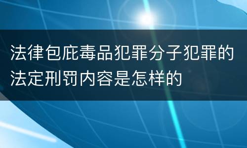 法律包庇毒品犯罪分子犯罪的法定刑罚内容是怎样的