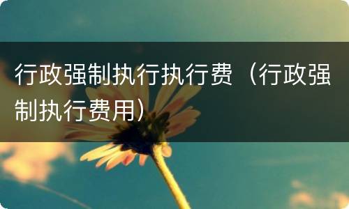 行政强制执行执行费（行政强制执行费用）