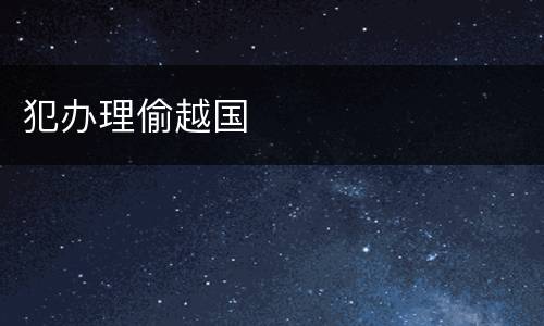 犯办理偷越国