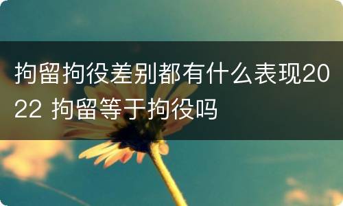 拘留拘役差别都有什么表现2022 拘留等于拘役吗