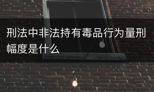 刑法中非法持有毒品行为量刑幅度是什么