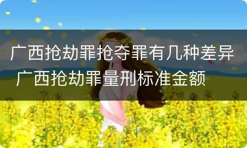 广西抢劫罪抢夺罪有几种差异 广西抢劫罪量刑标准金额