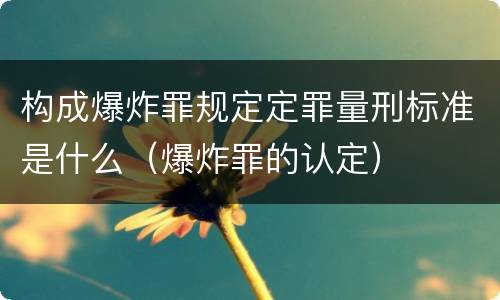 构成爆炸罪规定定罪量刑标准是什么（爆炸罪的认定）