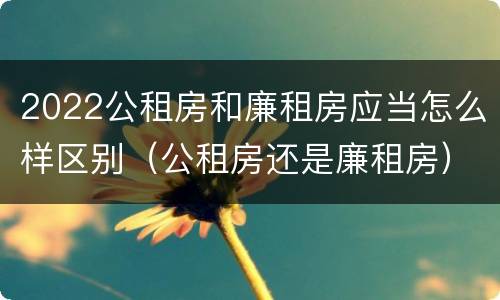 2022公租房和廉租房应当怎么样区别（公租房还是廉租房）