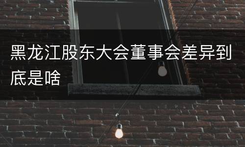 黑龙江股东大会董事会差异到底是啥