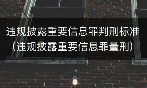 违规披露重要信息罪判刑标准（违规披露重要信息罪量刑）