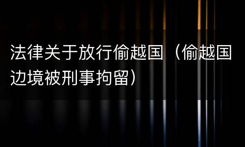 法律关于放行偷越国（偷越国边境被刑事拘留）