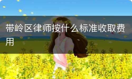 带岭区律师按什么标准收取费用