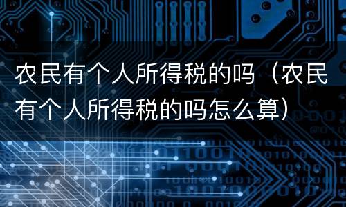 农民有个人所得税的吗（农民有个人所得税的吗怎么算）