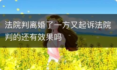 法院判离婚了一方又起诉法院判的还有效果吗