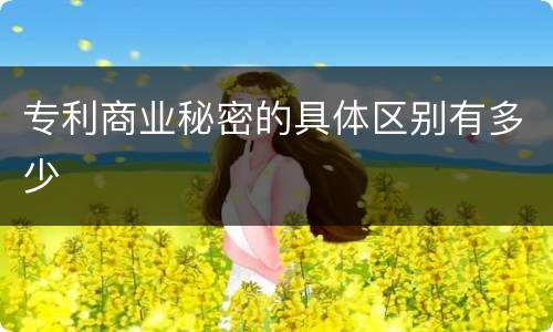 专利商业秘密的具体区别有多少