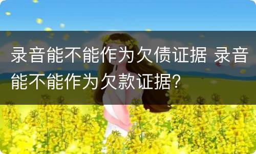 录音能不能作为欠债证据 录音能不能作为欠款证据?