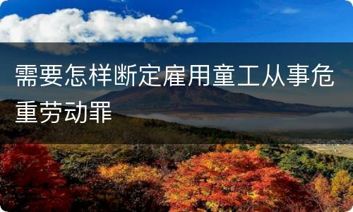 需要怎样断定雇用童工从事危重劳动罪